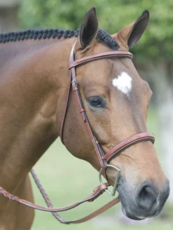 English Riding Supply Pessoa Fancy Wide Noseband Show Bridle W/ Fancy Stitched Laced Reins