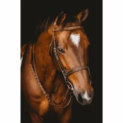Samshield Arion Hunter Bridle With Fancy Stitching English Bridles