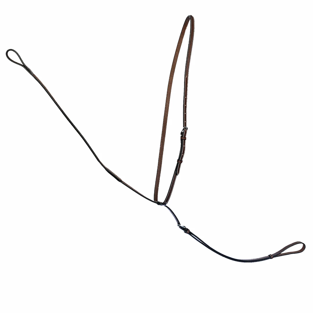 Top 10 ✔️ Samshield Arion Standing Martingale ❤️ 3 Samshield Arion Standing Martingale