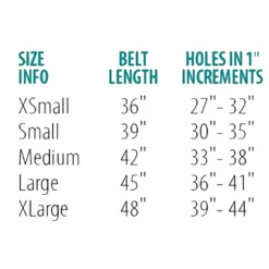 Discount π Perri's Leather Perri's Padded Leather Belt π 13 Perri's Leather Perri's Padded Leather Belt