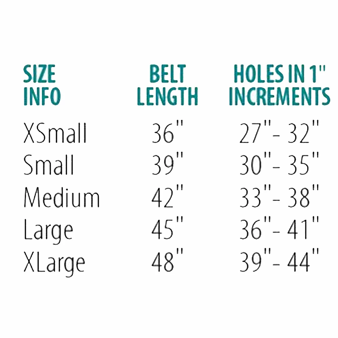 Discount π Perri's Leather Perri's Padded Leather Belt π 8 Perri's Leather Perri's Padded Leather Belt