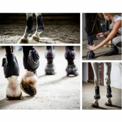 Best deal π Frantisi Horse π₯Ύ Boots & Wraps Acavallo Opera Front Boot -Gel Lined With Elasticated Stud Fastening π 30 Frantisi Horse Boots & Wraps Acavallo Opera Front Boot -Gel Lined With Elasticated Stud Fastening