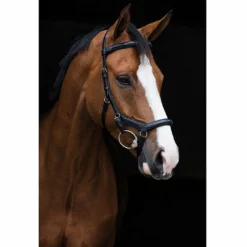 Buy 🧨 Horseware English Bridles Rambo Micklem Deluxe Competition Bridle 🔥 11 Horseware English Bridles Rambo Micklem Deluxe Competition Bridle