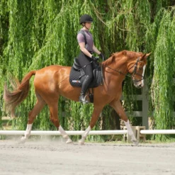 Kerrits Women's Crossover II Full Seat Breech