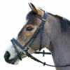 Saddlery Brands International Wintec English Bridle With Flash Noseband English Bridles
