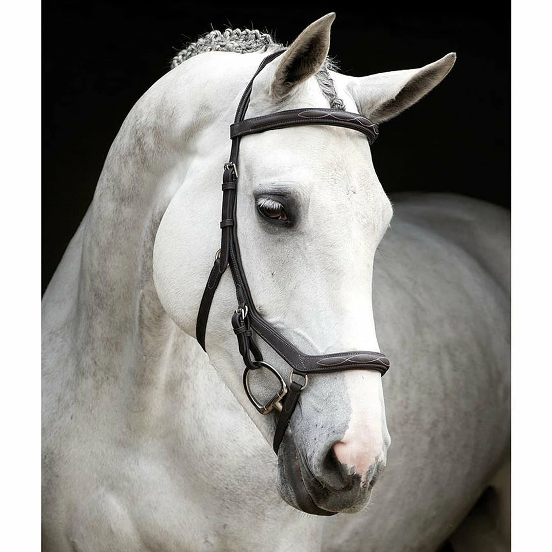 Buy 🧨 Horseware English Bridles Rambo Micklem Deluxe Competition Bridle 🔥 3 Horseware English Bridles Rambo Micklem Deluxe Competition Bridle