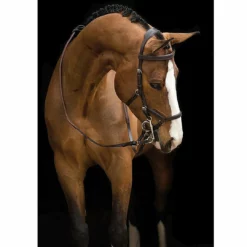 Buy 🧨 Horseware English Bridles Rambo Micklem Deluxe Competition Bridle 🔥 12 Horseware English Bridles Rambo Micklem Deluxe Competition Bridle