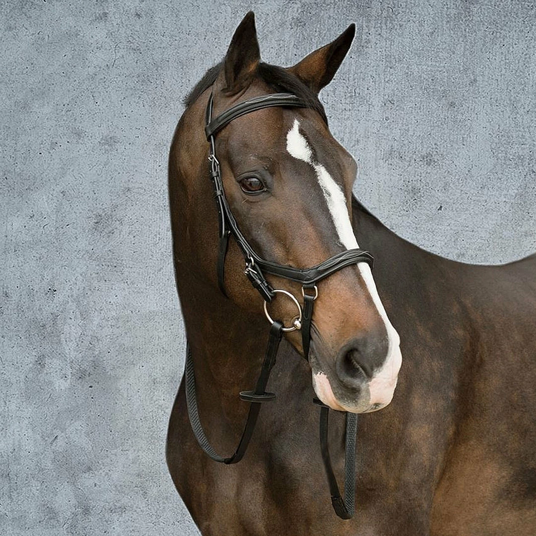 Buy 🧨 Horseware English Bridles Rambo Micklem Deluxe Competition Bridle 🔥 9 Horseware English Bridles Rambo Micklem Deluxe Competition Bridle