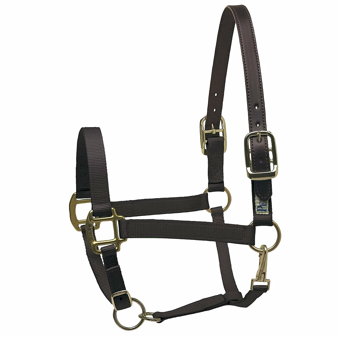 New 👏 Perri's Leather Perri's Premium Nylon Safety Halter Halters & Leads 👏 5 Perri's Leather Perri's Premium Nylon Safety Halter Halters & Leads