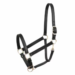 Perri's Leather Turnout Halter Halters & Leads