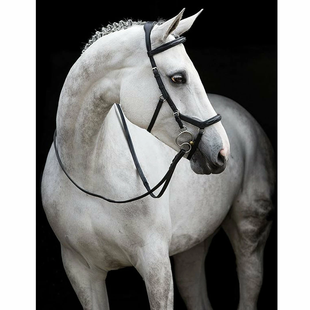 Buy 🧨 Horseware English Bridles Rambo Micklem Deluxe Competition Bridle 🔥 4 Horseware English Bridles Rambo Micklem Deluxe Competition Bridle