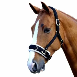 Shires Equestrian Products Fleece Lined Lunge Cavesson