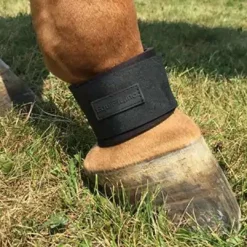 Equifit Neoprene Pastern Band Velcro Closure Horse Boots & Wraps