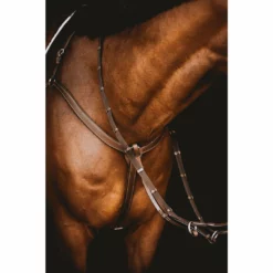 Samshield Arion Anatomic 3 Point Breastplate
