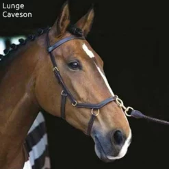 English Bridles Horseware Rambo Micklem Multibridle