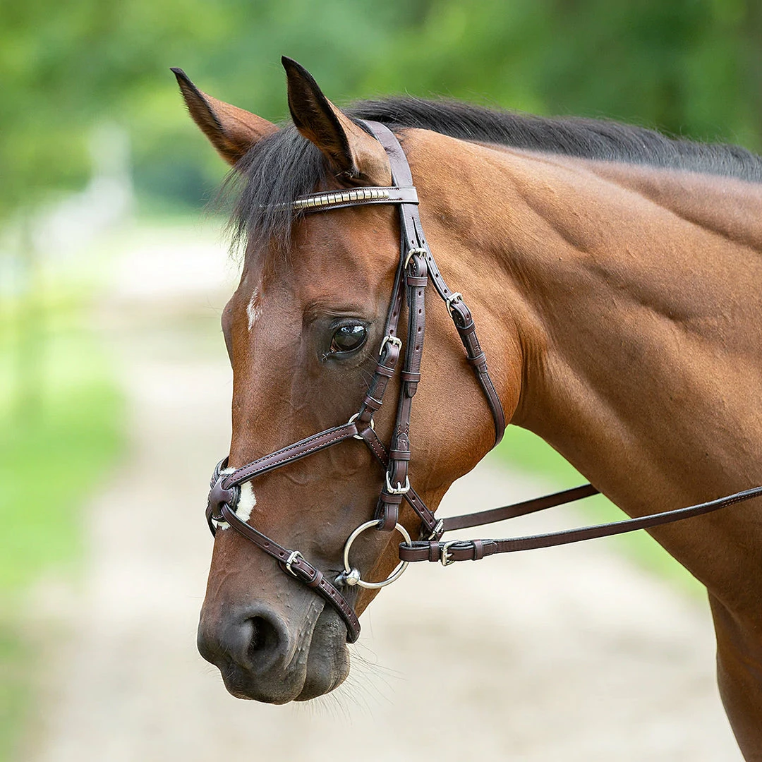 Best deal π English Bridles Nunn Finer Figure Eight Bridle π 4 English Bridles Nunn Finer Figure Eight Bridle