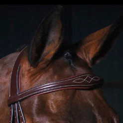 Buy π― Sagmae Dyon Anatomic Flash Noseband Bridle - D Collection π 11 Sagmae Dyon Anatomic Flash Noseband Bridle - D Collection