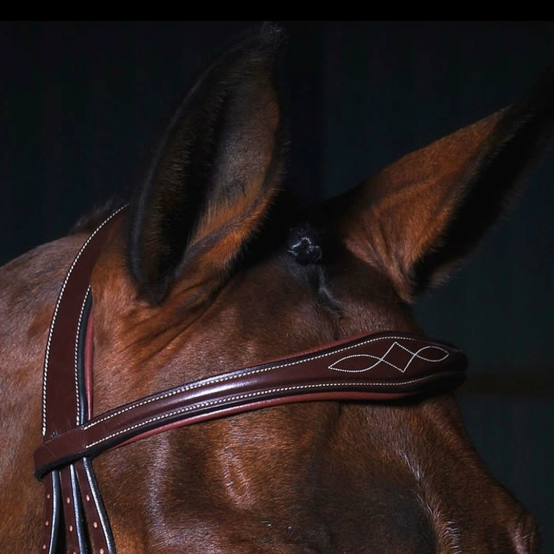 Buy π― Sagmae Dyon Anatomic Flash Noseband Bridle - D Collection π 5 Sagmae Dyon Anatomic Flash Noseband Bridle - D Collection