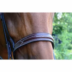 Red Barn By KL Select Sonoma Hunter Bridle