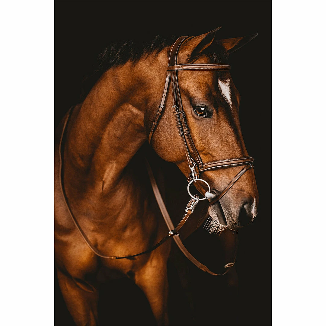 Buy π Samshield Arion French Noseband Training Bridle English Bridles π 4 Samshield Arion French Noseband Training Bridle English Bridles