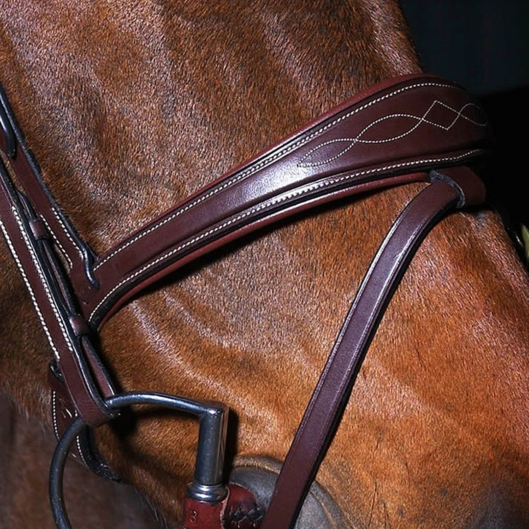 Buy π― Sagmae Dyon Anatomic Flash Noseband Bridle - D Collection π 6 Sagmae Dyon Anatomic Flash Noseband Bridle - D Collection
