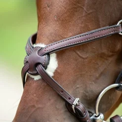 Best deal π English Bridles Nunn Finer Figure Eight Bridle π 10 English Bridles Nunn Finer Figure Eight Bridle