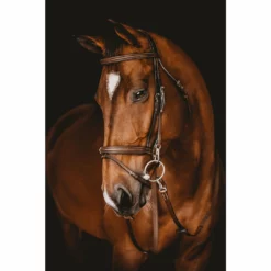 Buy π Samshield Arion French Noseband Training Bridle English Bridles π 7 Samshield Arion French Noseband Training Bridle English Bridles