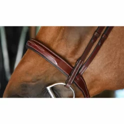 Deals โค๏ธ English Bridles KL Select Italia Tuscany Hunter Bridle ๐ 12 English Bridles KL Select Italia Tuscany Hunter Bridle