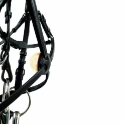 Nunn Finer Padded Figure 8 Noseband With Interchangeable Button Pieces English Bridles