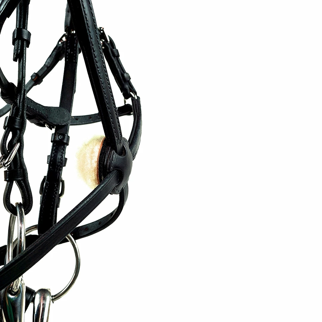 Best reviews of ⭐ Nunn Finer Padded Figure 8 Noseband With Interchangeable Button Pieces English Bridles ✨ 4 Nunn Finer Padded Figure 8 Noseband With Interchangeable Button Pieces English Bridles