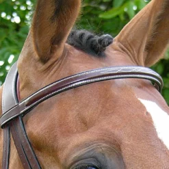 Wholesale π Sagmae Dy'on Fancy Stitch Wide Noseband Bridle English Bridles π 10 Sagmae Dy'on Fancy Stitch Wide Noseband Bridle English Bridles