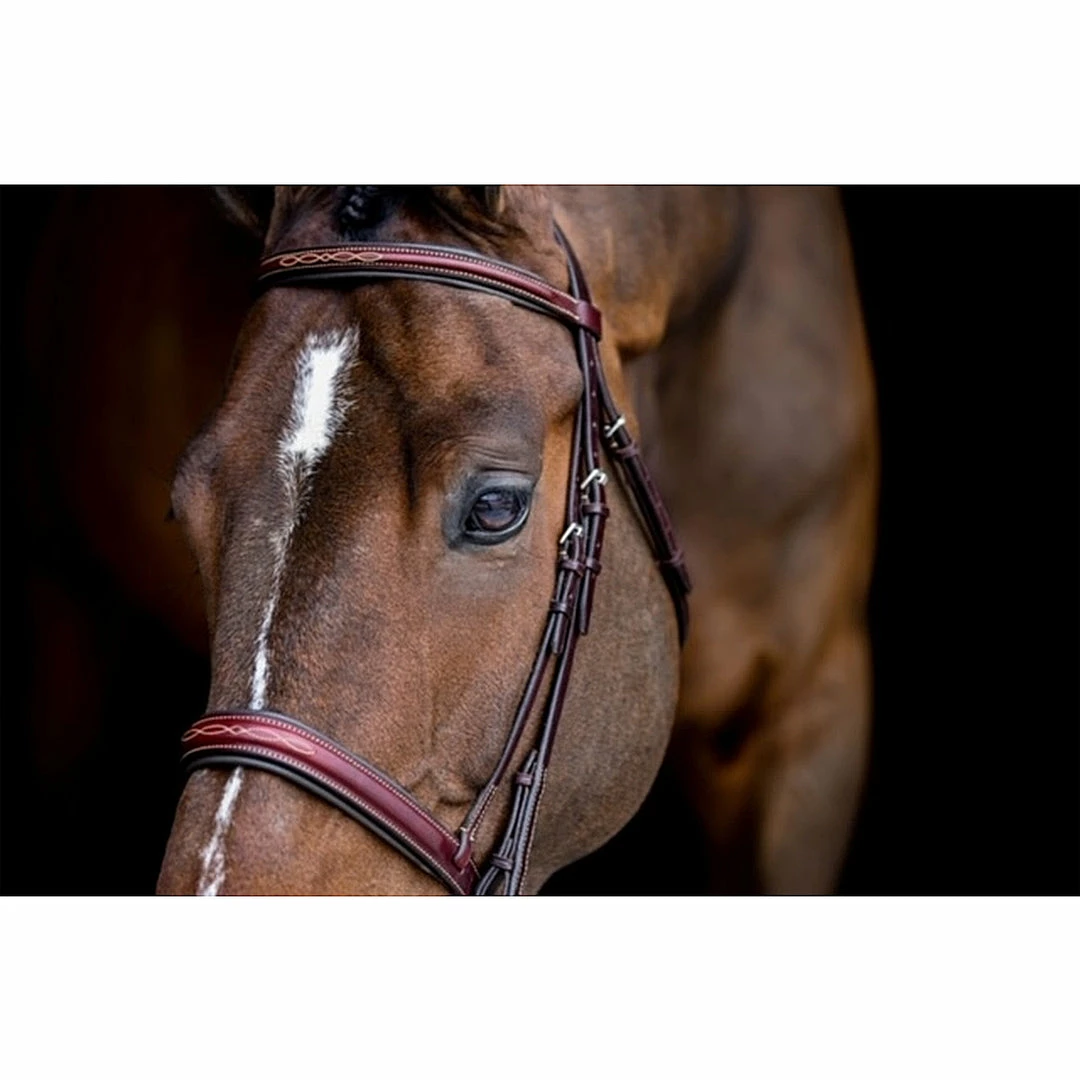 Best reviews of ๐ฏ Edgewood 3/4" Fancy Raised Padded Bridle With Padded Crown English Bridles ๐ฅ 6 Edgewood 3/4" Fancy Raised Padded Bridle With Padded Crown English Bridles