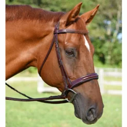 Deals โค๏ธ English Bridles KL Select Italia Tuscany Hunter Bridle ๐ 9 English Bridles KL Select Italia Tuscany Hunter Bridle