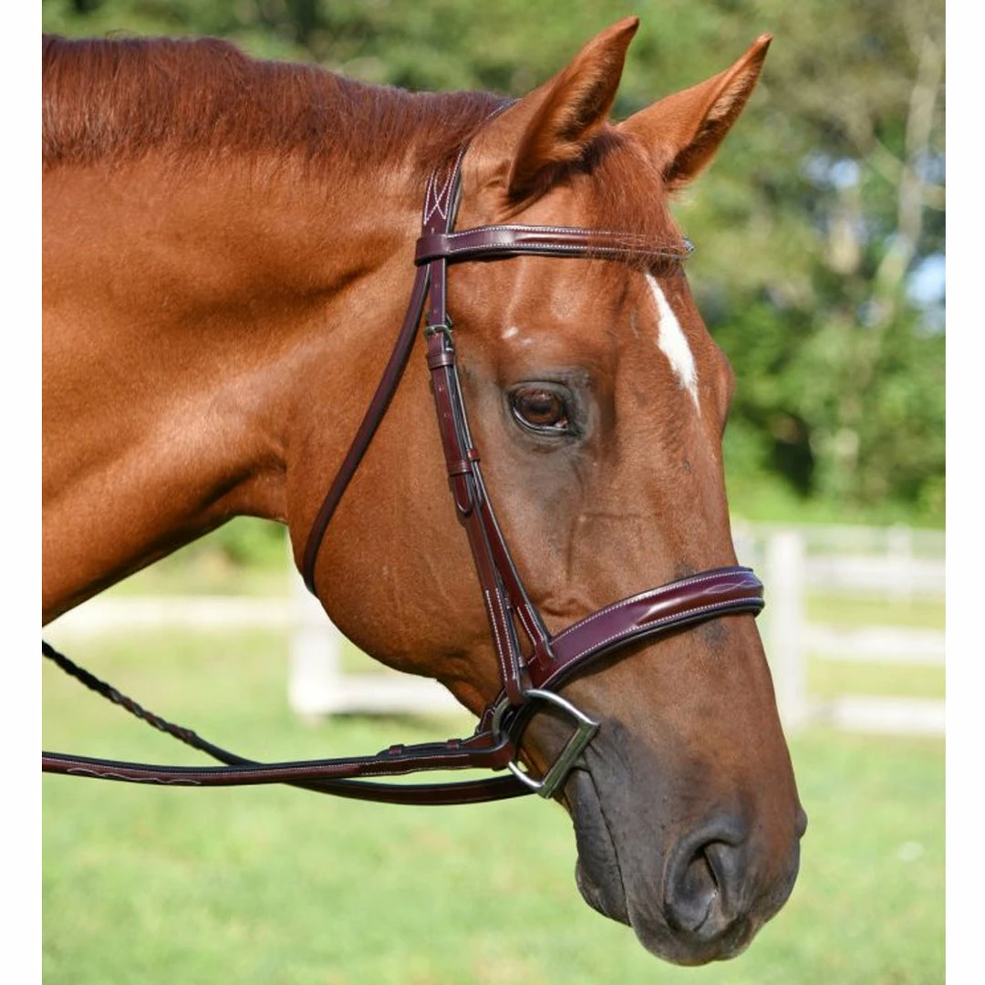 Deals โค๏ธ English Bridles KL Select Italia Tuscany Hunter Bridle ๐ 4 English Bridles KL Select Italia Tuscany Hunter Bridle