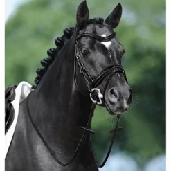 Passier Apollo Snaffle Bridle English Bridles