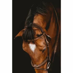New π€© Samshield Arion Anatomic French Noseband Bridle π 10 Samshield Arion Anatomic French Noseband Bridle