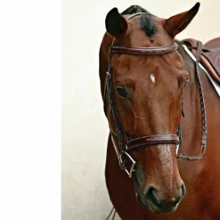 English Bridles Nunn Finer Caterina Hunter Bridle