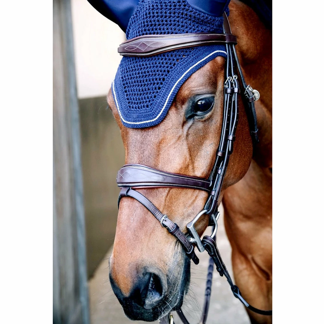 Buy π― Sagmae Dyon Anatomic Flash Noseband Bridle - D Collection π 8 Sagmae Dyon Anatomic Flash Noseband Bridle - D Collection