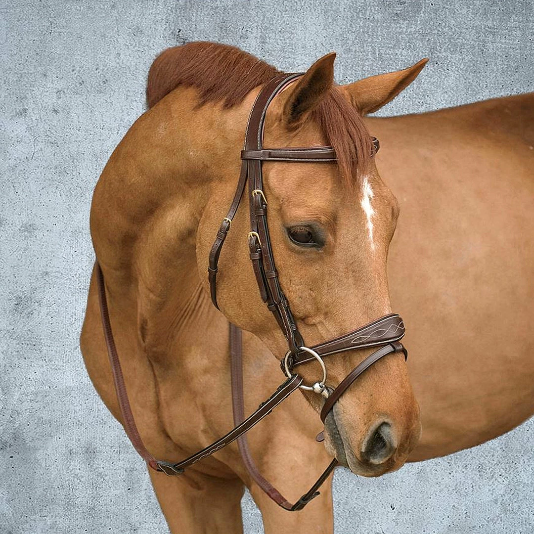 Buy π― Sagmae Dyon Anatomic Flash Noseband Bridle - D Collection π 3 Sagmae Dyon Anatomic Flash Noseband Bridle - D Collection