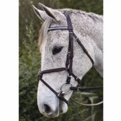 Best reviews of ⭐ Nunn Finer Padded Figure 8 Noseband With Interchangeable Button Pieces English Bridles ✨ 11 Nunn Finer Padded Figure 8 Noseband With Interchangeable Button Pieces English Bridles