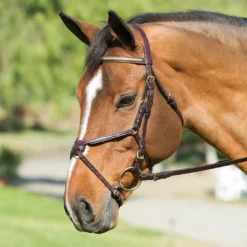 Best reviews of ⭐ Nunn Finer Padded Figure 8 Noseband With Interchangeable Button Pieces English Bridles ✨ 13 Nunn Finer Padded Figure 8 Noseband With Interchangeable Button Pieces English Bridles