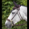 Coupon βοΈ Sagmae Dyon Hackamore Bridle π 1 Sagmae Dyon Hackamore Bridle