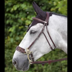Sagmae Dyon Hackamore Bridle