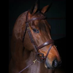 Sagmae Dyon Anatomic Flash Noseband Bridle - D Collection