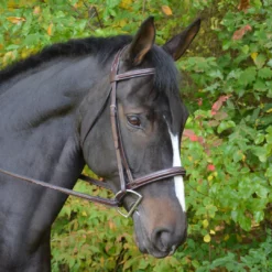 English Bridles Black Oak By KL Select Cyprus Hunter Bridle