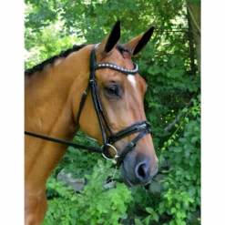 English Bridles Red Barn By KL Select Stride Dressage Bridle