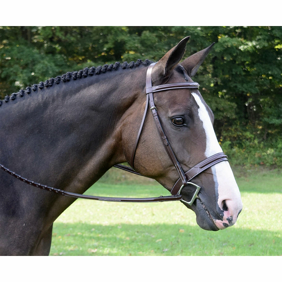 Best reviews of π Red Barn By KL Select Sonoma Hunter Bridle β 3 Red Barn By KL Select Sonoma Hunter Bridle