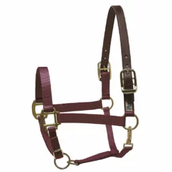 New 👏 Perri's Leather Perri's Premium Nylon Safety Halter Halters & Leads 👏 22 Perri's Leather Perri's Premium Nylon Safety Halter Halters & Leads