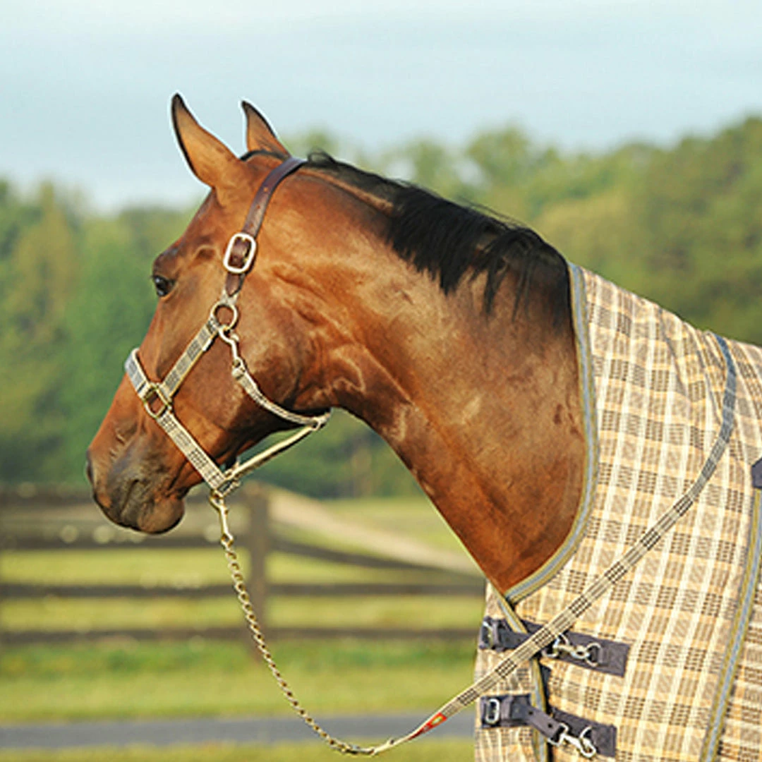 Discount โ๏ธ Jacks Mfg Halters & Leads 5/A Baker Lead With Chain ๐ฅ 4 Jacks Mfg Halters & Leads 5/A Baker Lead With Chain