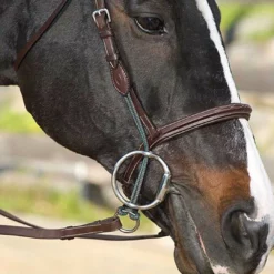 Nunn Finer Leather Gag Cheeks